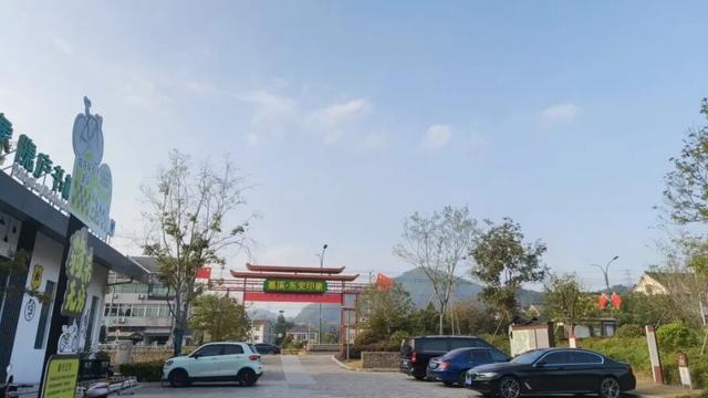 突破3万人次！富阳这里，持续火爆！