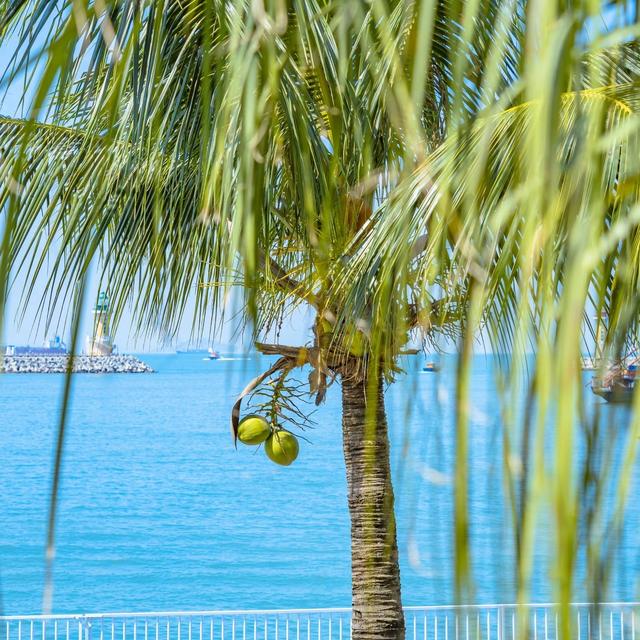 别让“白嫖”毁了孩子的未来