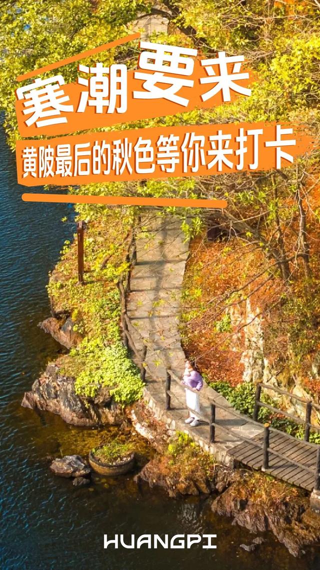 寒潮要来！黄陂最后的秋色等你来打卡！