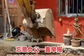广东男子宅基地建房频遇邻居阻拦，6年未建成，一气之下挖成水塘图片