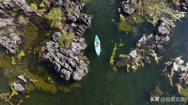 美上央视！季节限定！快去打卡昆明这个水墨仙境，机位、时间、交通等超详细攻略来了！