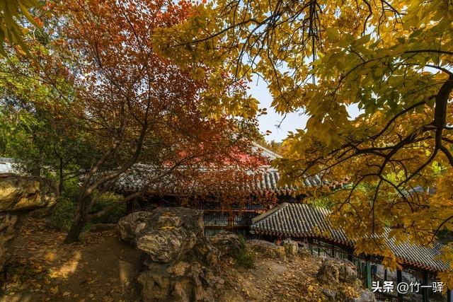 Deepseek和百度AI共同推荐北京红叶区：到北京旅游至少要去三个。