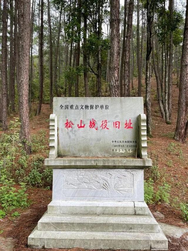 均温25°C，一年晴天300天的滇西小城，去躺平几日简直不要太快乐