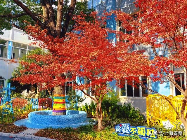 奉浦校园初冬美景大赏，你家娃的学校藏着这样的冬日浪漫