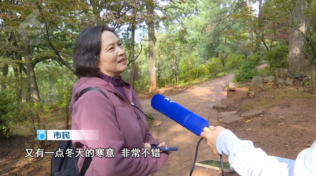 春城的秋天是什么颜色？来黑龙潭，给你一片火红的答案