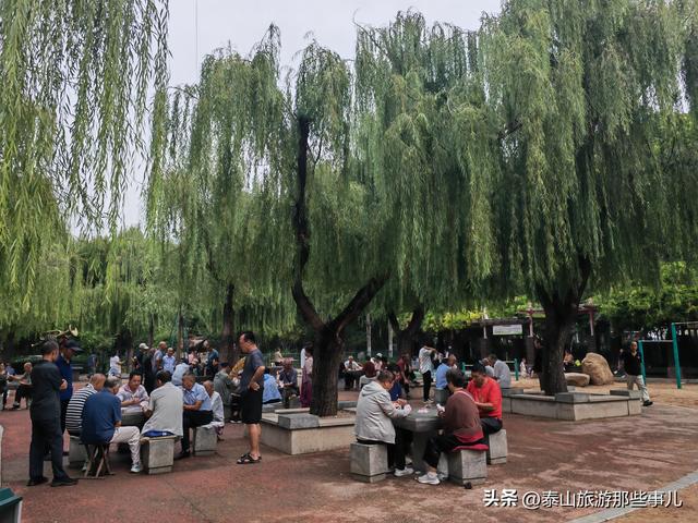 泰安：南湖公园人潮如织，十二莲桥美轮美奂，老夫妇的话让人深思
