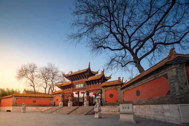 南京的秋，在这里镀了金！这5处银杏秘境，美成千年童话！
