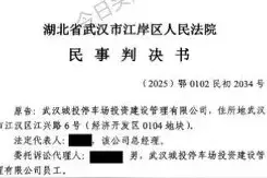 欠20023元路边停车费，武汉市江岸区人民法院依法宣判图片