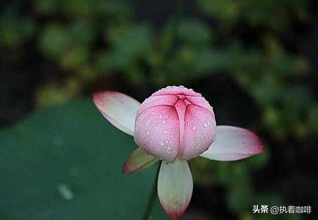 怕“脏”的人，多半没有出息
