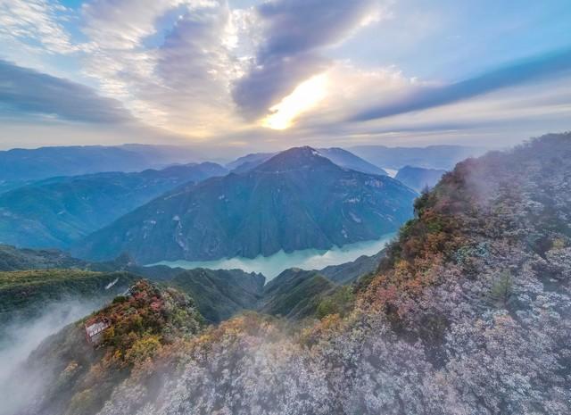 冬天冷不冷，就看立冬，今天立冬，今年冬天会冷到哭吗？