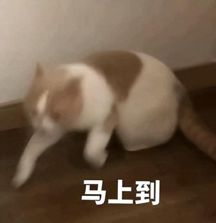 啧啧，微信刚刚这波更新，安卓鸿蒙又要傻眼了