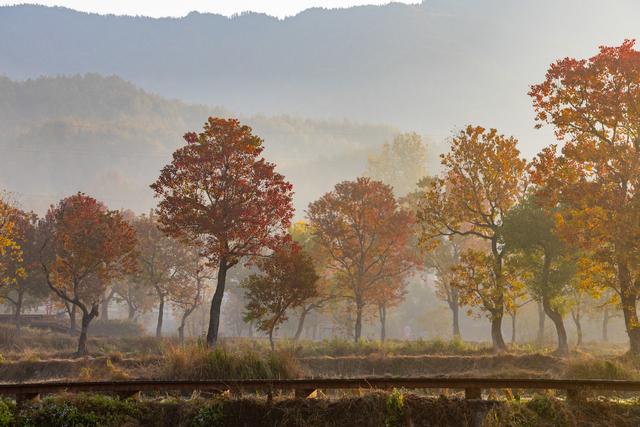 大别山中徐凤冲