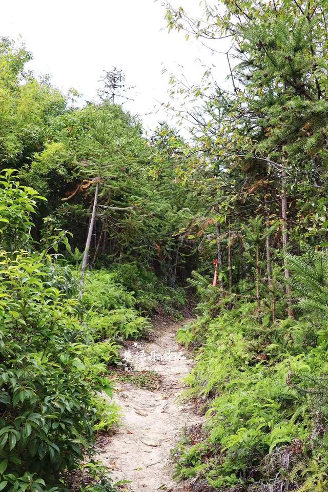 真的好美！宁波宁海这个山村被群山环绕，禅寺竟成露营及休闲胜地