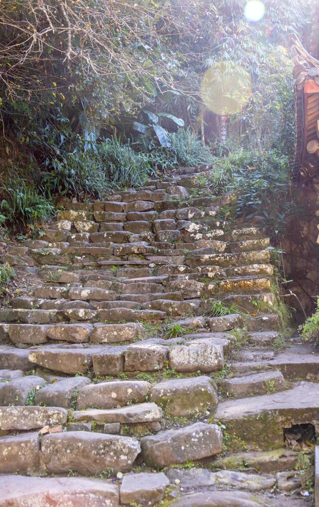 普洱游之那柯里