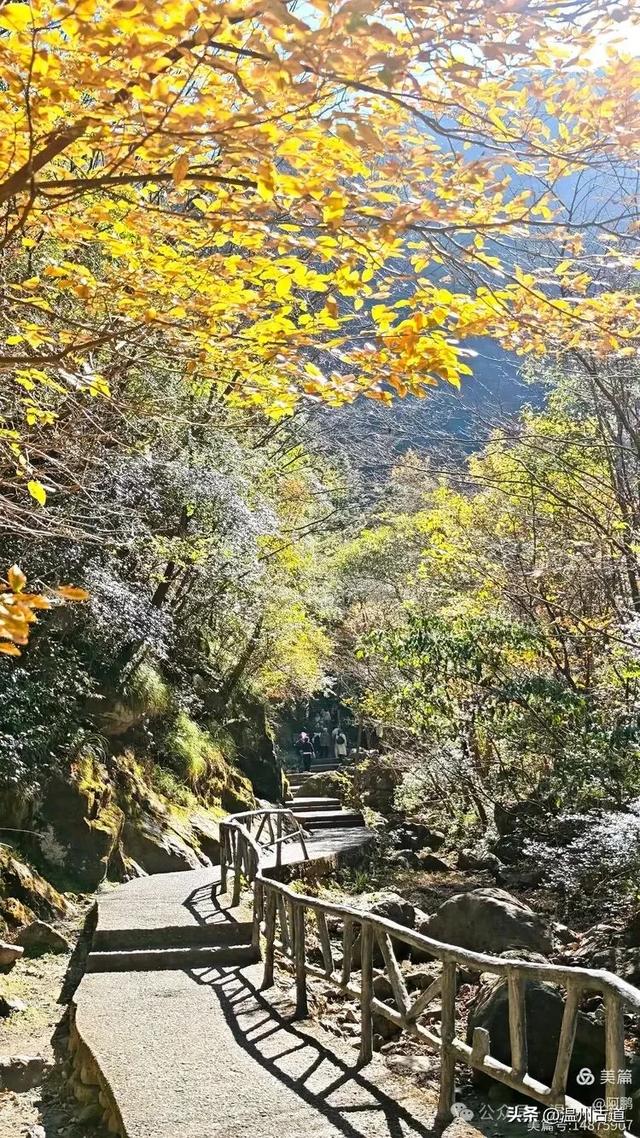 踏秋胜地，天脊龙门！浙江这个4A级景区已美成童话，等你来打卡