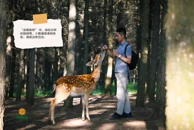 暴降10℃！呼市人最近扎堆这里，一待就是一天！全呼和浩特都在晒