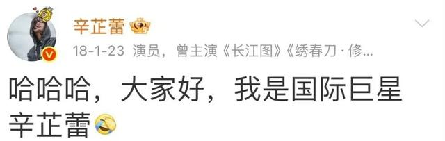 巩俐叶德娴之后就是她，辛芷蕾凭什么封后？曾被骂“想红写脸上”