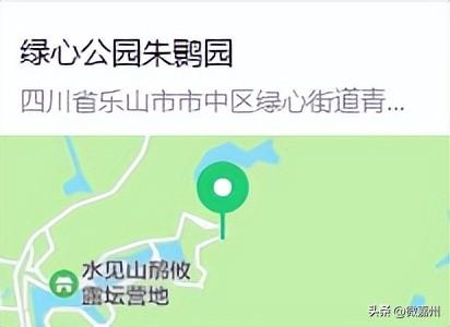 元旦去哪儿？｜1月1日恢复营业，游园攻略请查收