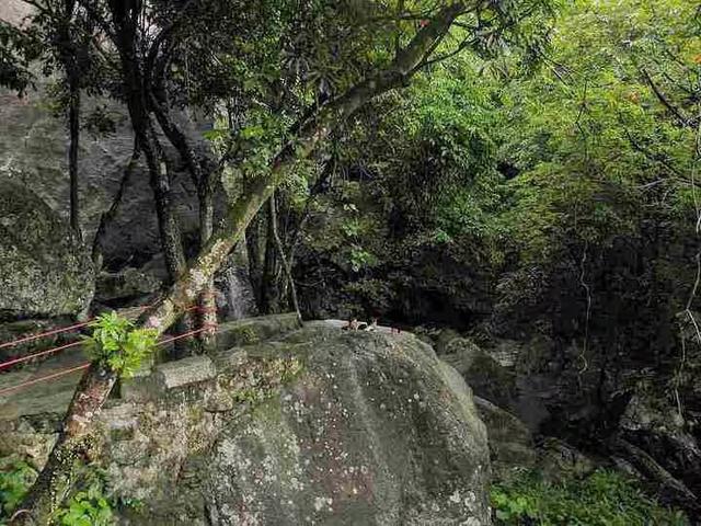 又来广东之九十九 惠州篇之十 罗浮山（3）