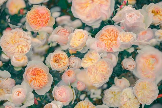 几句话让你走出阴霾