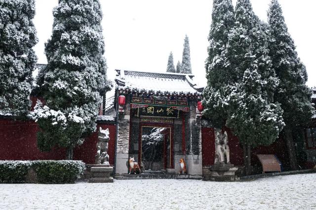 接下来的淄博，「冬日隐藏副本」藏不住了！