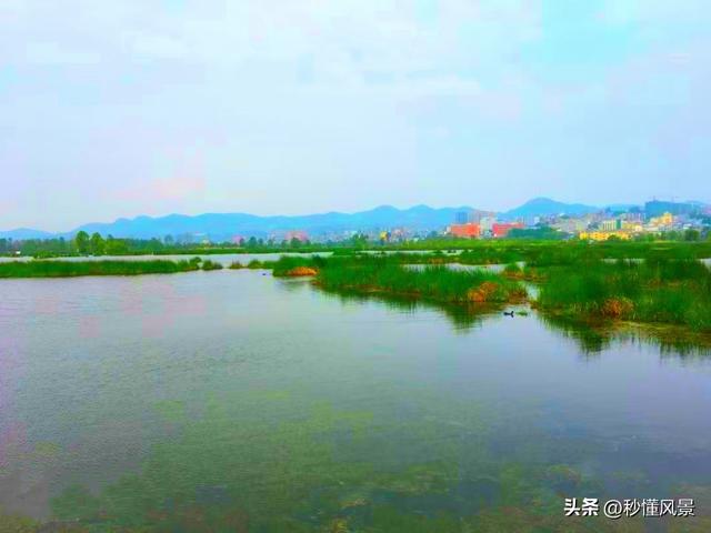 贵州最凉快的地方不是贵阳，而是这座高海拔小城，真后悔才来！