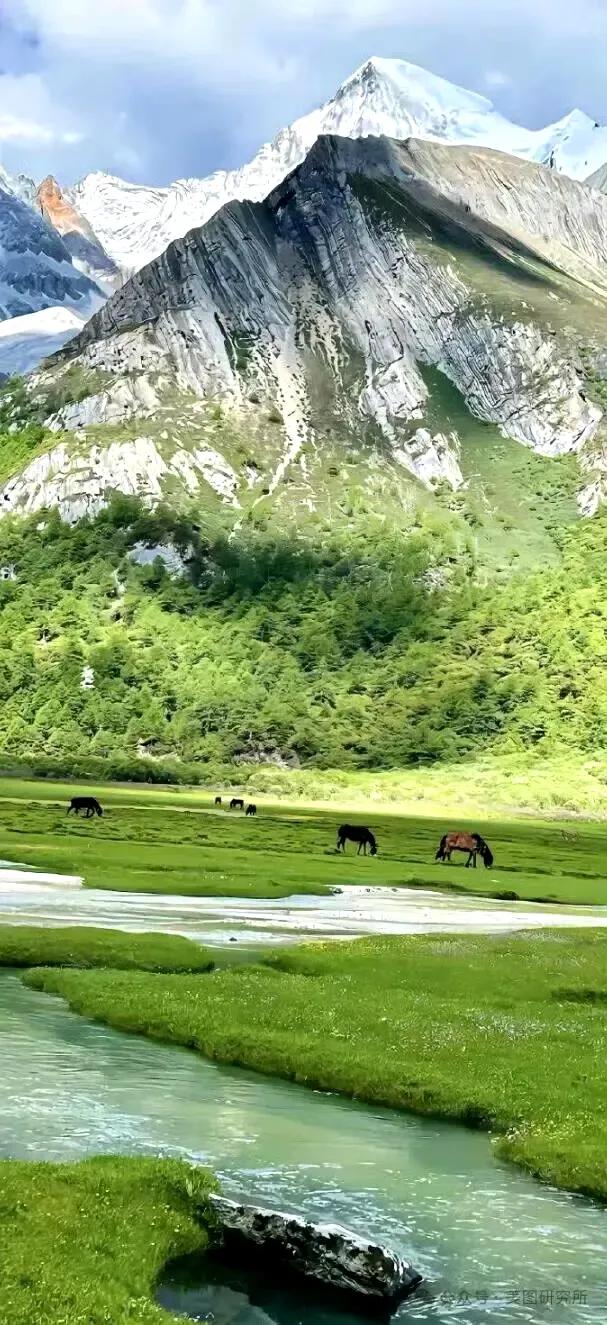 手机壁纸|春意盎然