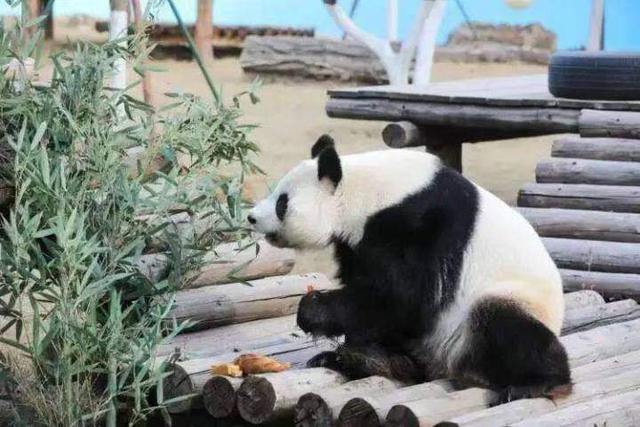 鞍山旅游市场切换至冬日模式