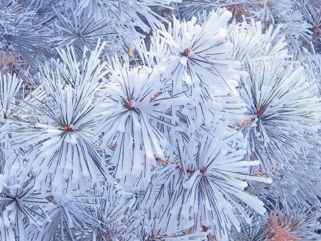 绝美！泰宁峨嵋峰变身冰雪王国，每一帧都是壁纸→