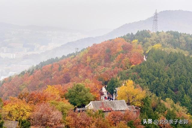 京城四条超适老徒步路线大揭秘