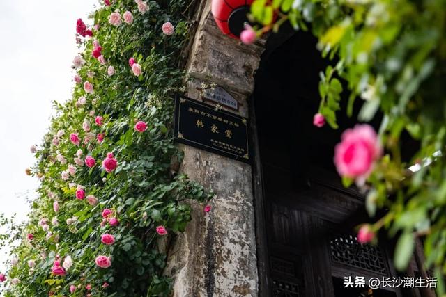 被朋友问了800遍的长沙国庆攻略，今天就毫无保留地公开了！