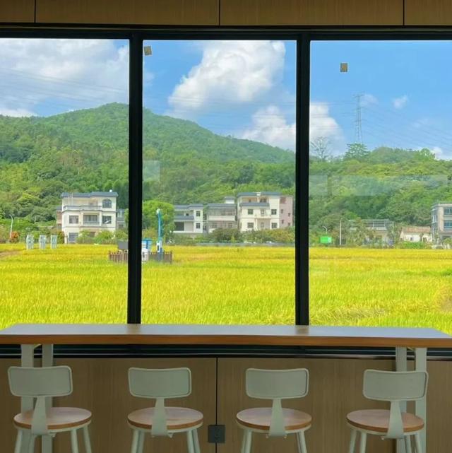 惠聚美好丨稻田边“长”出咖啡屋