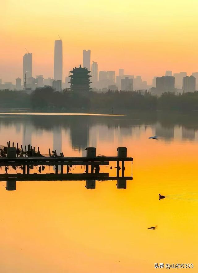 新华社原军事记者陶俊峰泉城美拍：《初冬大明湖晨曦美景》