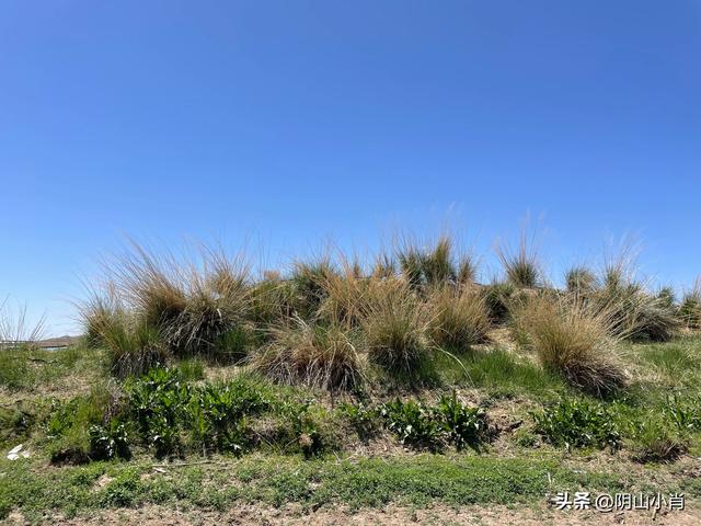 巴彦淖尔市乌拉特前旗小佘太镇田野考察笔记
