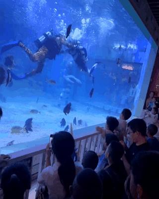 奥特曼在海洋馆大战怪兽？网友：果然一代人有一代人的海洋馆