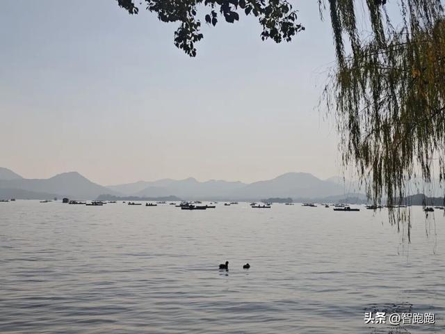 2025 杭州西湖 City Walk 留下足迹