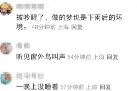 大风持续，沙尘下午抵沪！一区体育中考延期，上港队被困机场！一地310名雷暴哮喘患者涌入医院图片