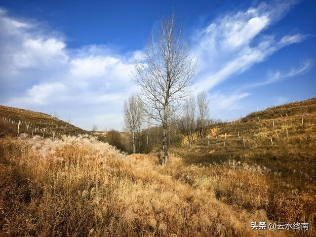 游览了这片芦花后，我又到蓝田这个没有拆掉的村子，见到这些老人