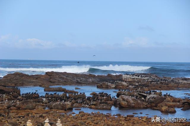 南部非洲：南非好旺角