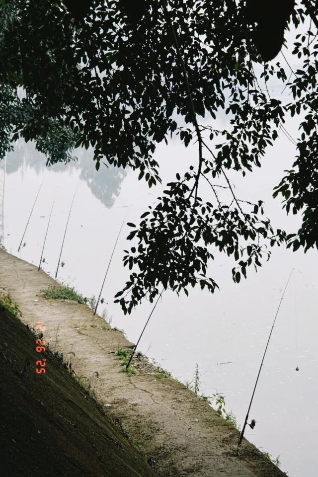 成都向西，拜访邛崃最“慢”的古镇，把千年时光泡进茶里