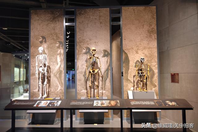 拉萨市：参观西藏自然科学博物馆