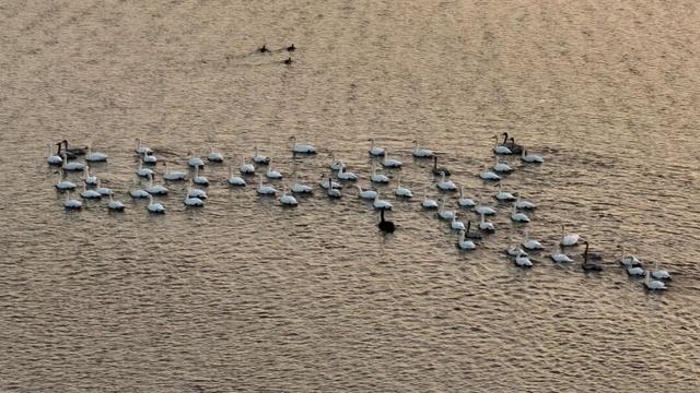 冬天在开封，一定要做这几件事！
