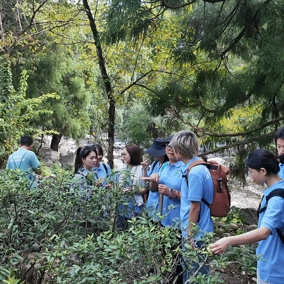 一场跨越山河的青春之约！香港学子在武夷山找到了真正的“金山银山”