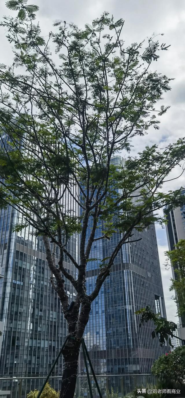 太美了大悦城，逛半天也是逛，不如逛个一整天！