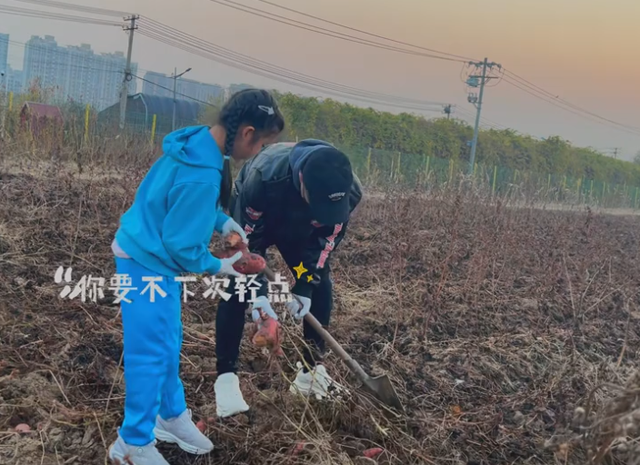 汪峰不装了！森林北生病，他却带着女儿地里挖白菜，章子怡躺赢了