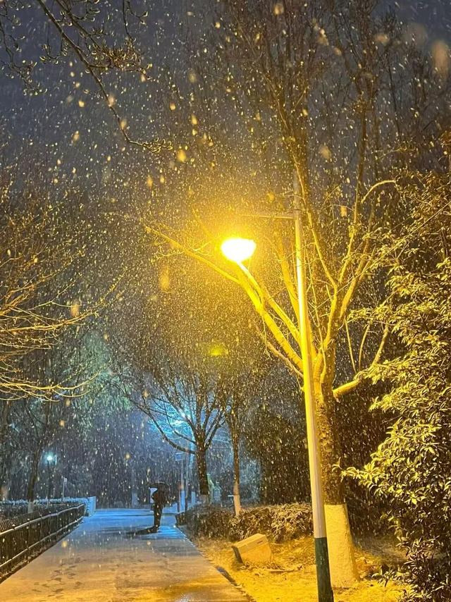 终于等到你！第一波济宁雪景大片来了！