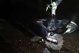 警钟长鸣！宜春6月份电动自行车火灾4起，涉及绿能、台铃、新世纪、新日等多个品牌！图片