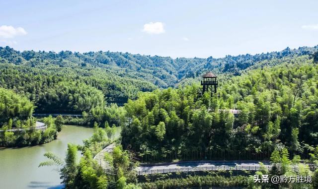 中国竹林面积最大的县在贵州，面积达123万亩，已是国家森林公园