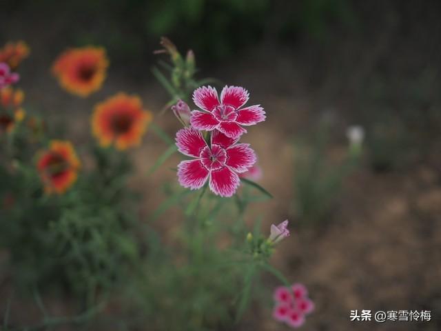 男人如何去刺激女人的荷尔蒙？方法很简单，不信可以试试。