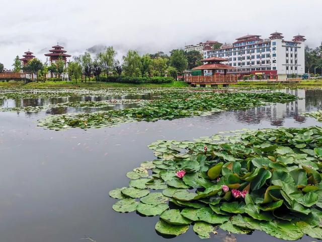 墨脱：藏在雪山云雾中的“莲花”，每个旅人心中的诗和远方